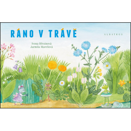 Knížka - Ráno v trávě