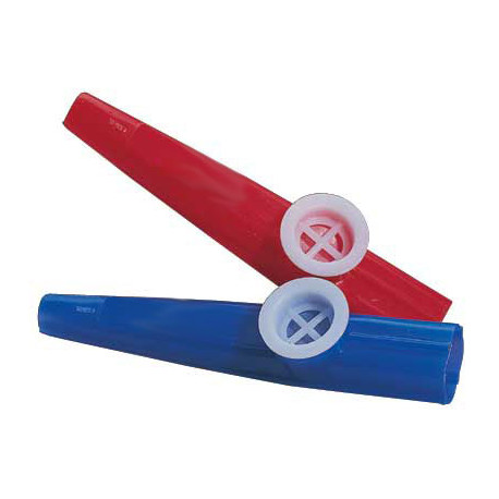 Kazoo301207