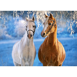 Puzzle - Koně v zimní krajině,  260 dílků