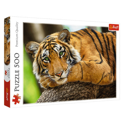 Puzzle - Portrét tygra, 500 dílků