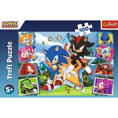 Puzzle -  ježek Sonic, 100 dílků