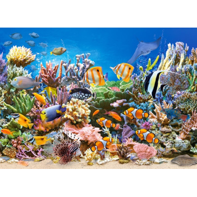 Puzzle - Barvy oceánu, 260 dílků